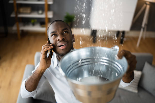 Best Water damage cleanup near me  in Woodbury, TN
