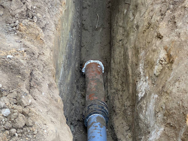 Best Flood restoration services  in Woodbury, TN