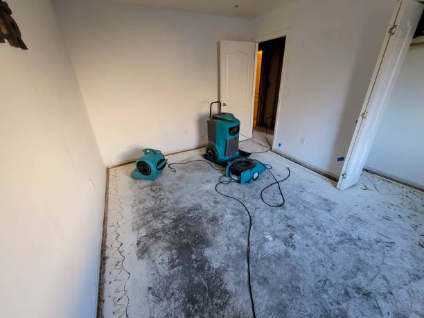 Best Emergency water extraction  in Woodbury, TN