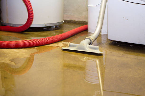 Best Basement water damage restoration  in Woodbury, TN