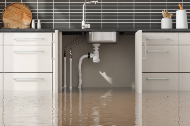 Best 24/7 water damage repair  in Woodbury, TN
